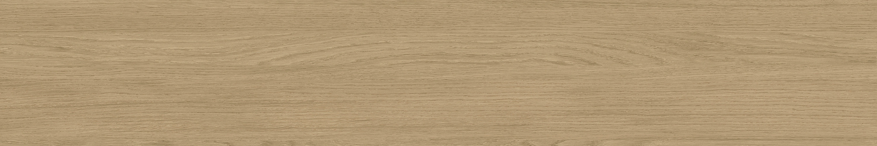 suncitygroup太阳集团·(中国)首页登录